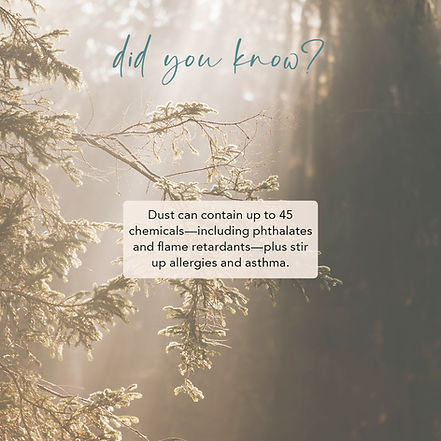 Dust contains chemicals too