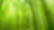bamboo-forest-wallpaper-48862-50489-hd-w