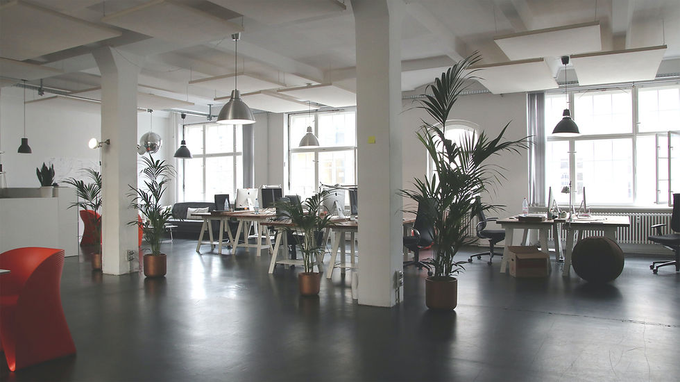office1.jpg