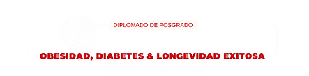 logo Diplomado de Posgrado blanco.png