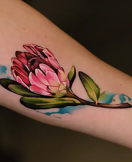 Watercolor protea flower arm tattoo in Tel Aviv.