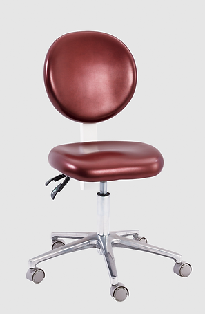 Siger U500 Dentist Stool