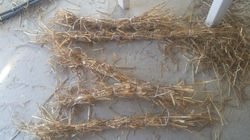 c'est ça les poupées !