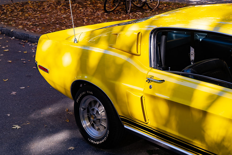 Thumbnail: 1968 Shelby GT500 KR