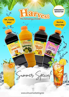 Green and White Modern Geometric Product Flyer (1).jpg