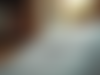 Navigating Employment Law: Rights and Responsibilities