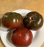 T93 sakhar cherny.2.jpeg