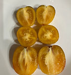 T83 atomic sunset 5.jpeg