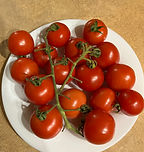 T120 miel-du-mexique.2.jpeg