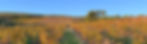 WineShop_Slider_02