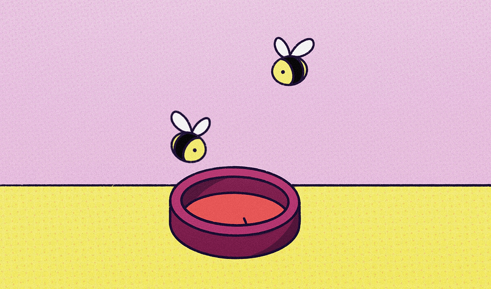 Sonja-Hamann-Illustration-Opener-3.gif