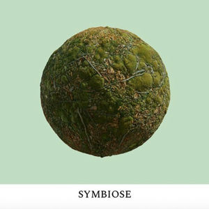 Kugelsieben – Symbiose