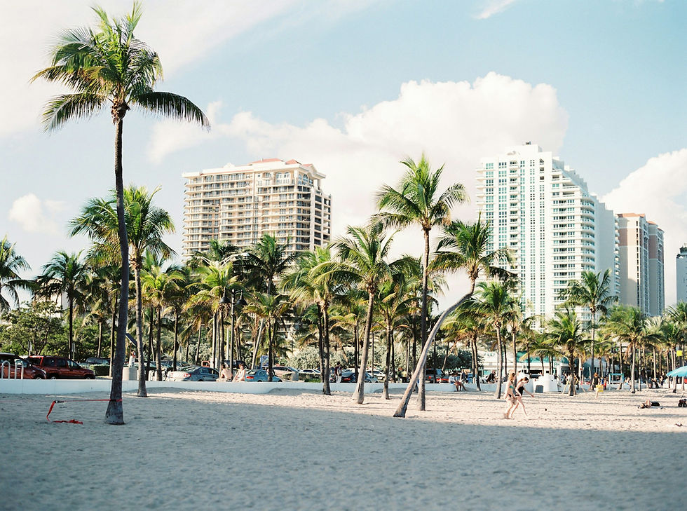 beach with palm trees and high-rises in background