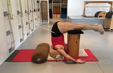 iyengar yoga david jacobs