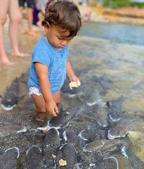 Child feeding fish.jpg