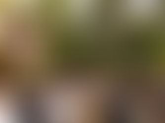 Animation : Commémoration de la Tour Mangin