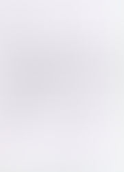 Information : Résultat élections régionales