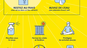 Information : Canicule , les bons gestes