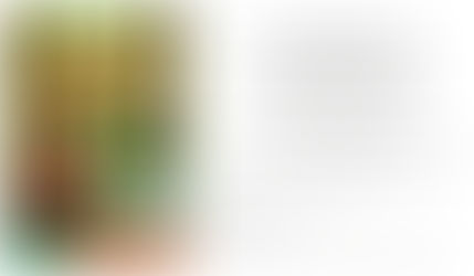 Animation : Hauts de France propres