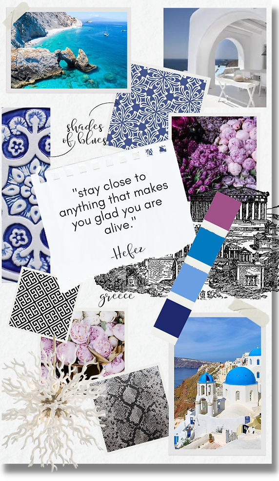collage insight.png