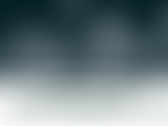 Beyoncé DOES Talk To Her Fans