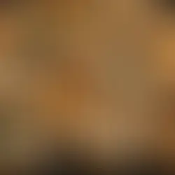 The Art of Cantonese Cuisine: A Journey Through Guangdong's Culinary Soul