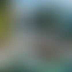 Exploring the Hidden Treasures of Guizhou: A Journey into the Unknown