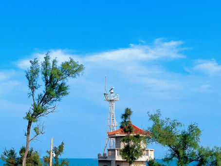 Traveling Through Fujian: Flowers in My Hair, Wind by the Sea