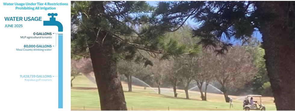 Despite Tier 4 restrictions prohibiting all irrigation, sprinklers ran on the Kapalua golf courses on June 25, 2025. That month, the courses consumed more than 11 million gallons of water — compared with just 80,000 for Maui County drinking water — while MLP’s agricultural tenants used none.