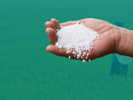 Renewed Urea Production In India