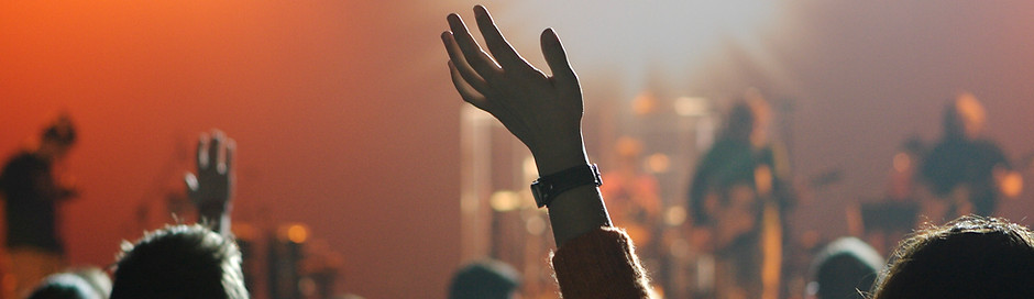 Concert Crowd