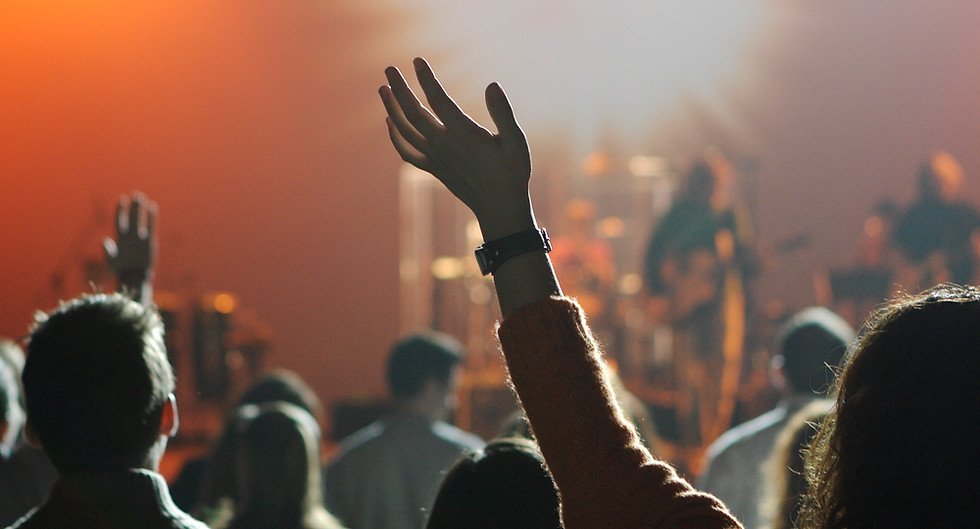 Concert Crowd