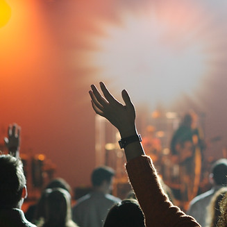 Concert Crowd