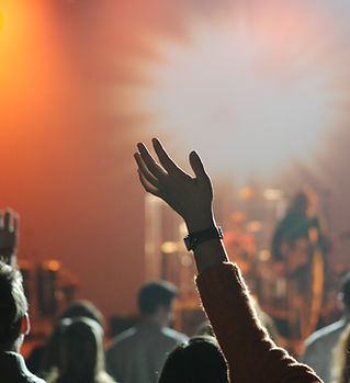 Concert Crowd