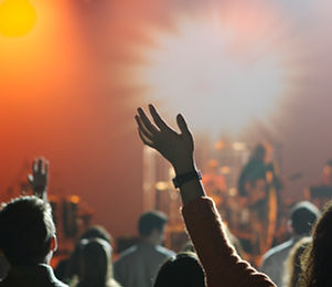 Concert Crowd