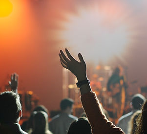 Concert Crowd