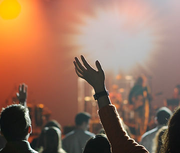 Concert Crowd