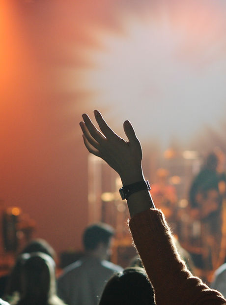 Concert Crowd