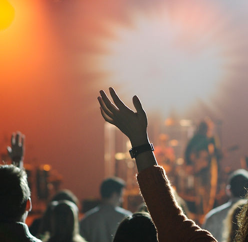 Live Concert Scene