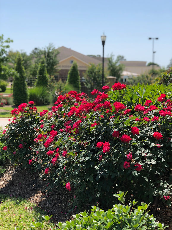 Commercial Real Estate Spring, TX Pin Oak Offices