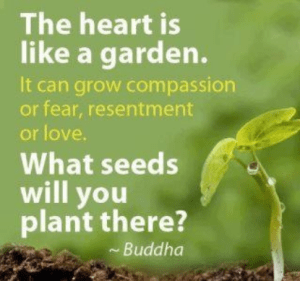 The-heart-is-like-a . compassion or fear