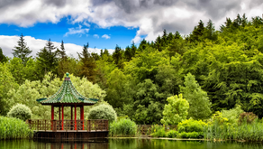 HIMALAYAN GARDEN