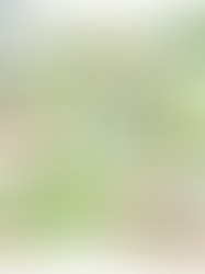 【Gemini 3教學應用】七個咒語,讓 AI 幫你生成精美教材圖!(附實例指令)by yuyu.2018