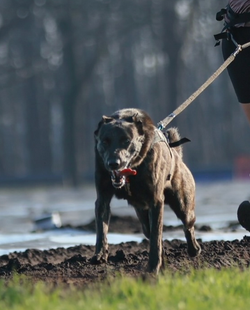 photographie du compte instagram "dutchmadness_"