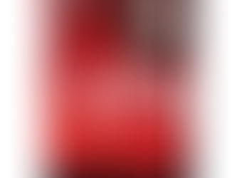 Fiction Books - Fun Filled Stories