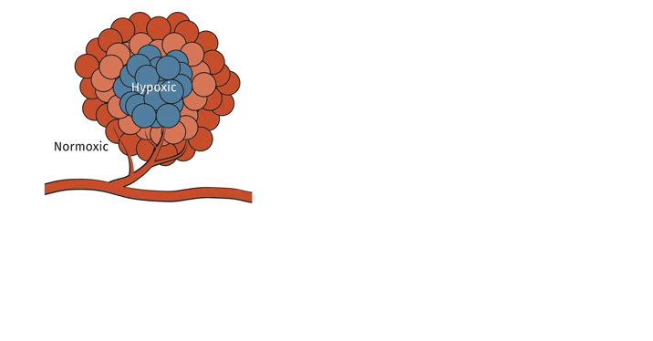 Animation radiation and immunotherapy