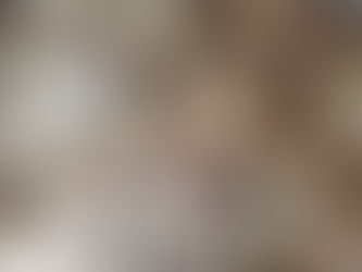 Discover the Best Natural Poppy Pods in the USA at Dried Flowers UK Online Store