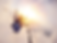 skydive.png