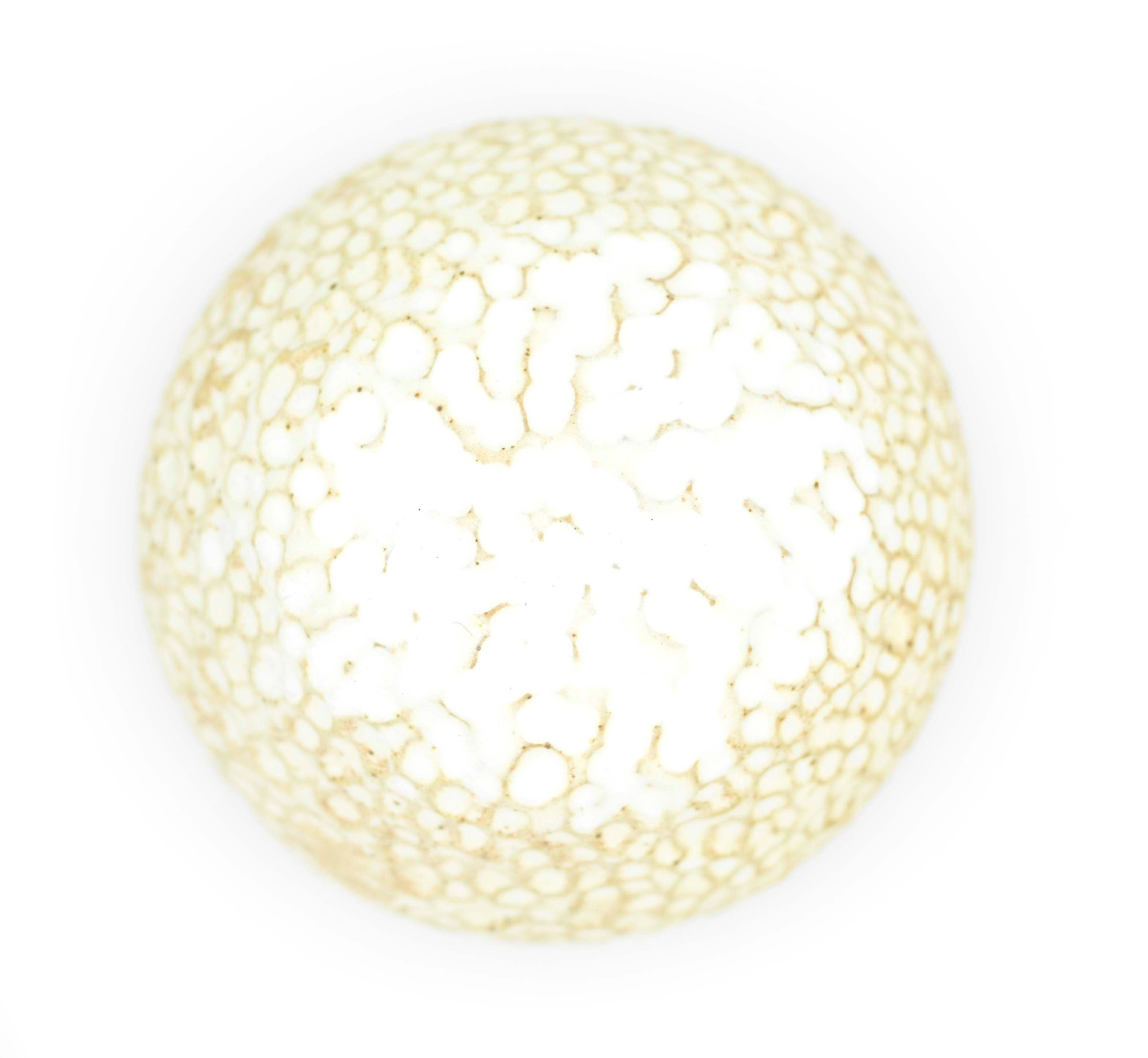 GMODP11