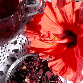 STM Site Banner 1 (1)_edited.jpg